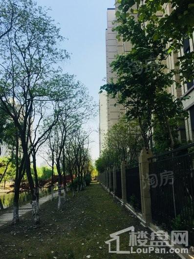 嘉宝梦之缘景庭实景图