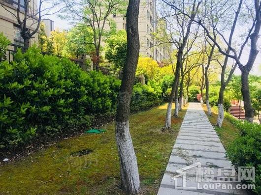 嘉宝梦之缘景庭实景图