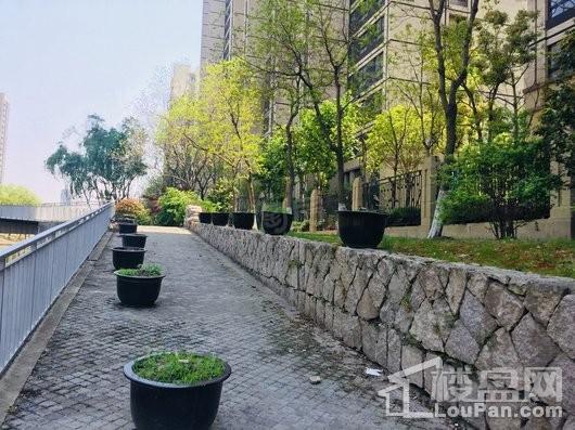 嘉宝梦之缘景庭实景图