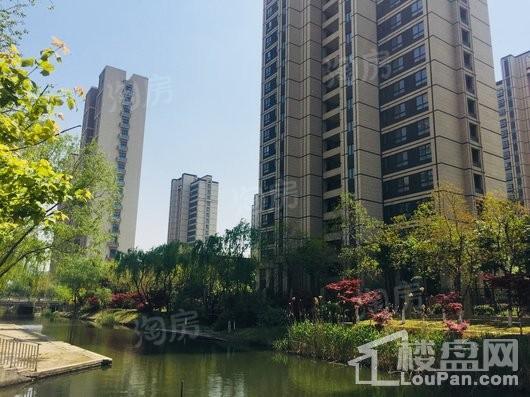 嘉宝梦之缘景庭实景图