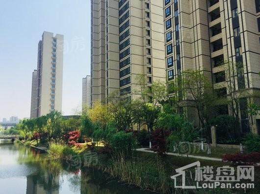 嘉宝梦之缘景庭实景图