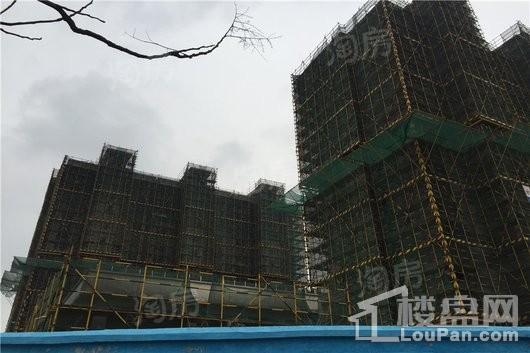 水榭兰亭实景图