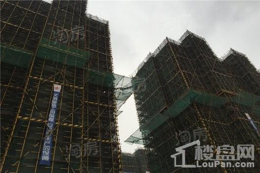 水榭兰亭实景图