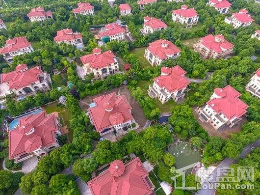 合生东郊别墅实景图