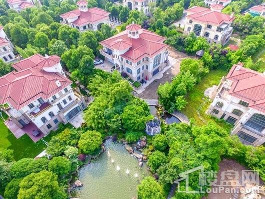 合生东郊别墅实景图