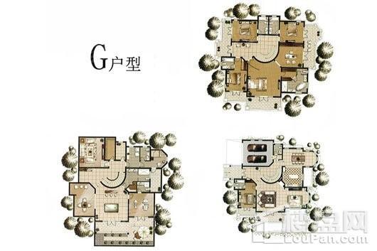 户型图片
