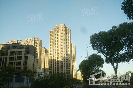 嘉宝梦之月实景图