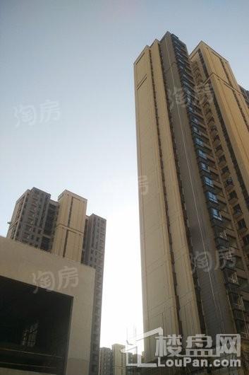 嘉宝梦之月实景图