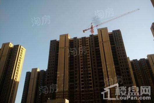 嘉宝梦之月实景图