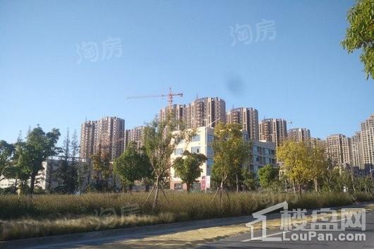 嘉宝梦之月实景图