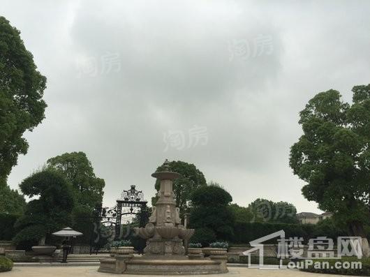 实景图