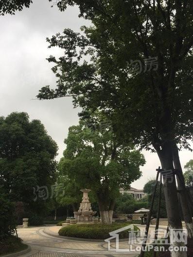 远洋丽兹堡实景图