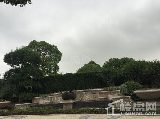 远洋丽兹堡实景图
