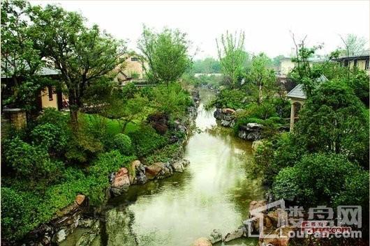 中凯曼荼园实景图