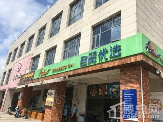 临港首府配套图