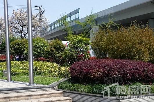 同济逸仙大厦实景图