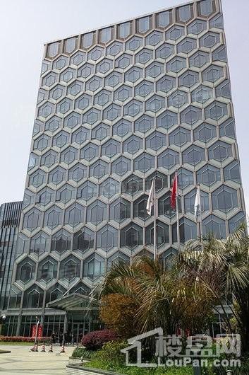 同济逸仙大厦实景图