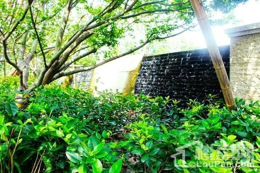 安亭瑞仕锦庭实景图