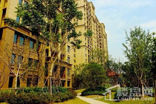 安亭瑞仕锦庭实景图