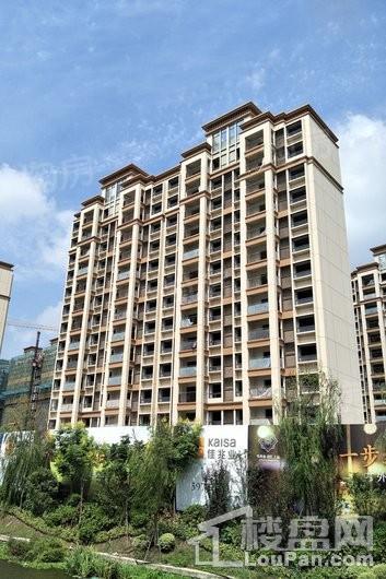 佳兆业君汇上品实景图