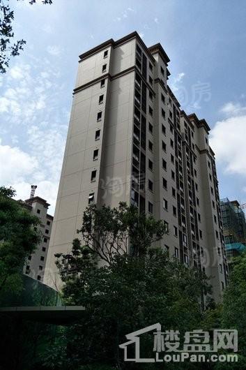 佳兆业君汇上品实景图