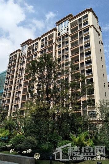 佳兆业君汇上品实景图