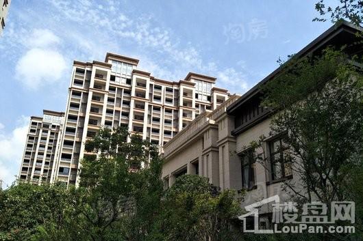 佳兆业君汇上品实景图