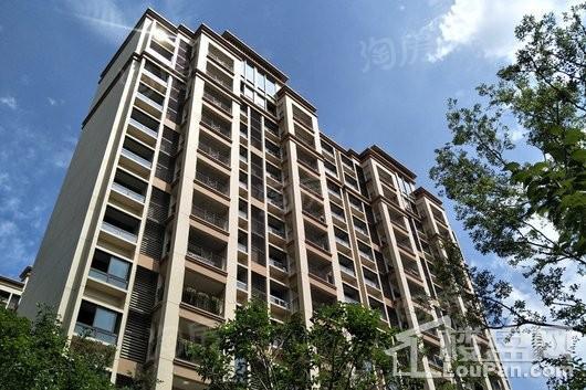 佳兆业君汇上品实景图