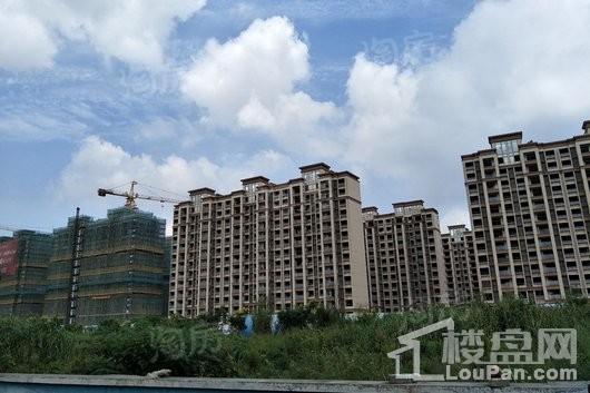 佳兆业君汇上品实景图