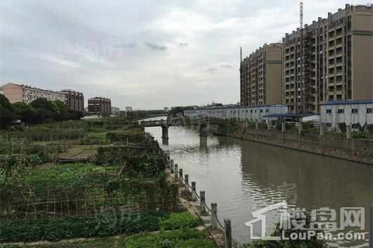 实景图