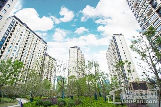 信达蓝尊实景图