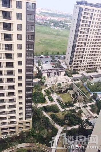 信达蓝尊实景图