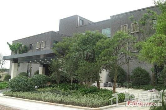咸塘商业步行街实景图