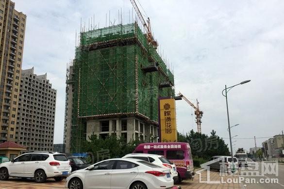 金象泰紫薇花园实景图