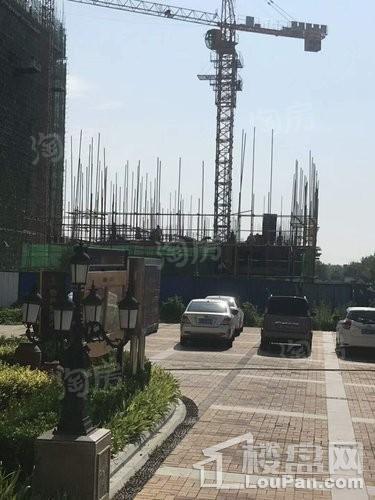 金象泰紫薇花园实景图