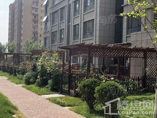 金象泰紫薇花园实景图