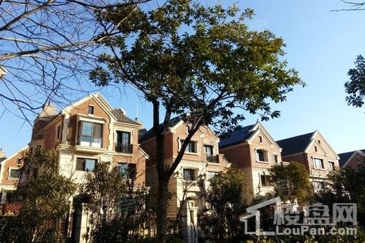 中建大公馆实景图