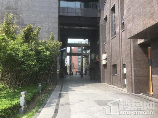 复旦软件园·智慧新天地实景图