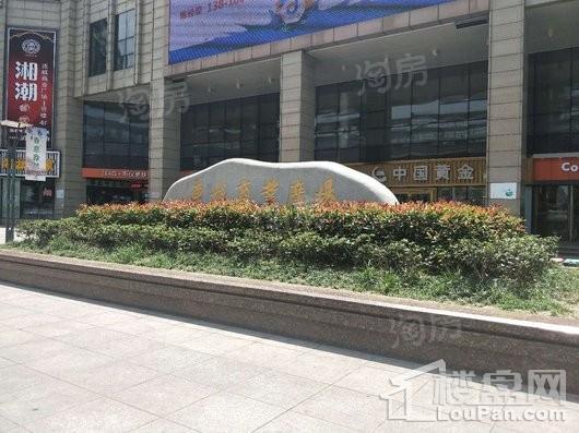 连城1号实景图