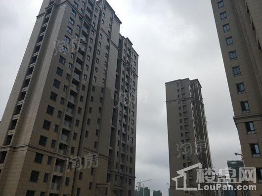 望园豪庭实景图