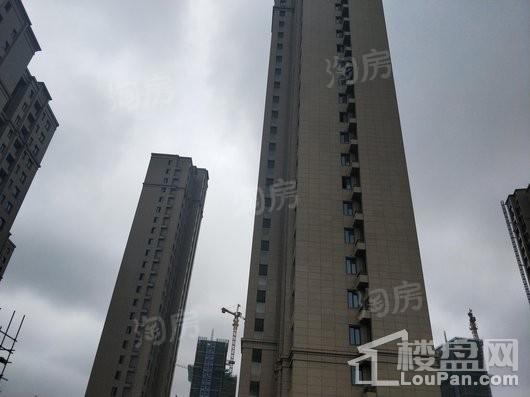 望园豪庭实景图