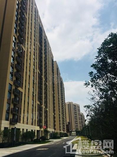 深城投十一街区写字楼实景图