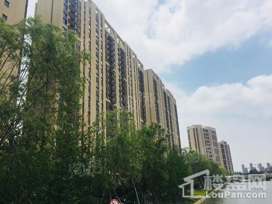 深城投十一街区写字楼实景图