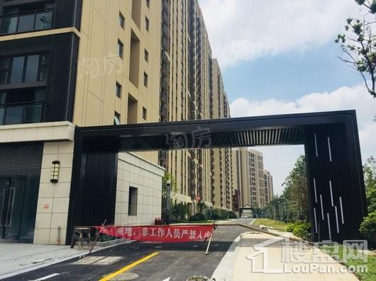 深城投十一街区写字楼实景图