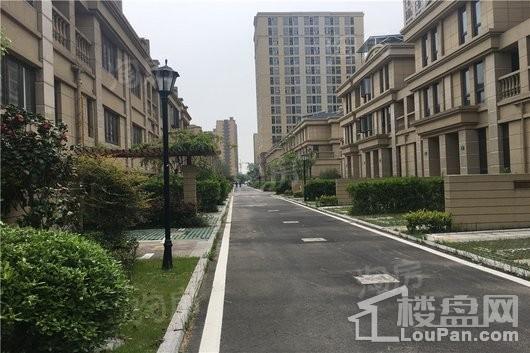 实景图