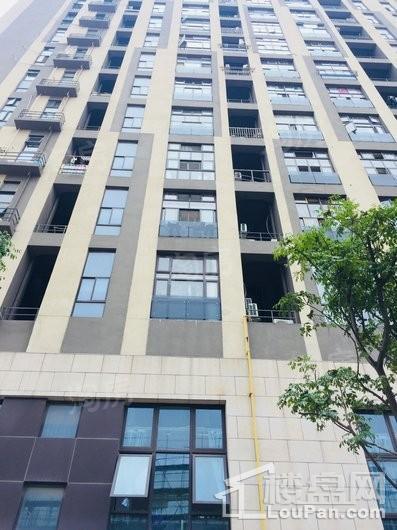光明嘉域生活中心实景图