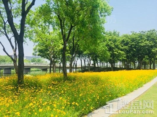 光明嘉域生活中心配套图