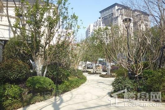 绿城静安公馆实景图