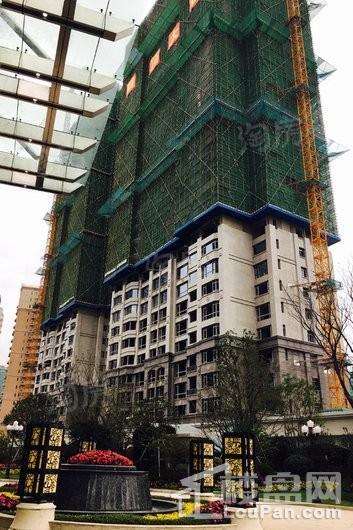 恒大滨江华府实景图