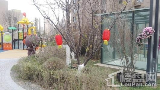 荣盛锦绣天地实景图